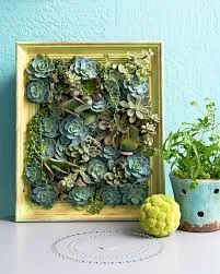 August Birth Flower  Modern Home Ideas