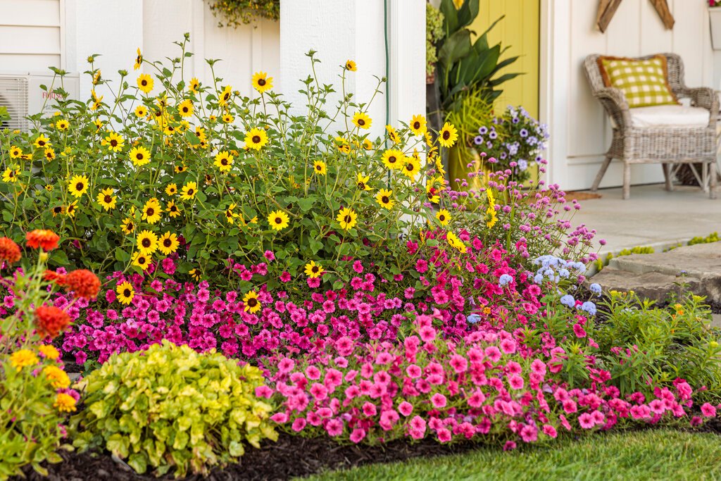 Backyard Landscaping Ideas with Colorful Flower Beds