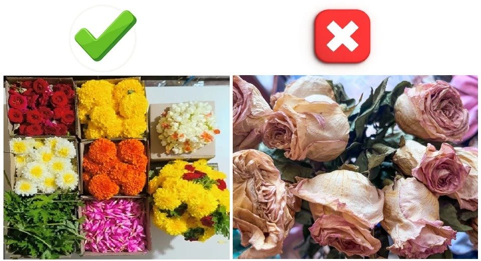 Common Lotus Flower Decor Mistakes to Avoid